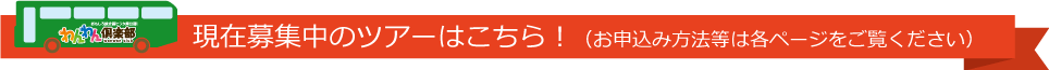 次のツアー予定